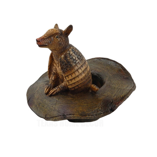 Small Texas Armadillo Inside Old Cowboy Hat Figurine Table Decor Rustic Western