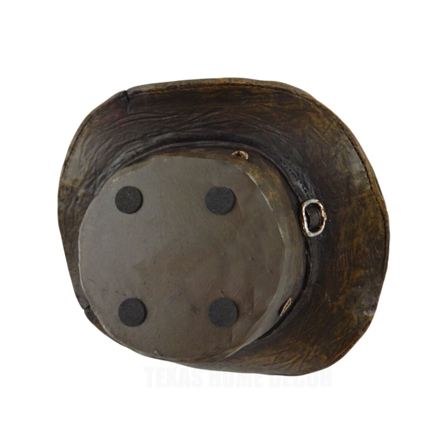 Small Texas Armadillo Inside Old Cowboy Hat Figurine Table Decor Rustic Western