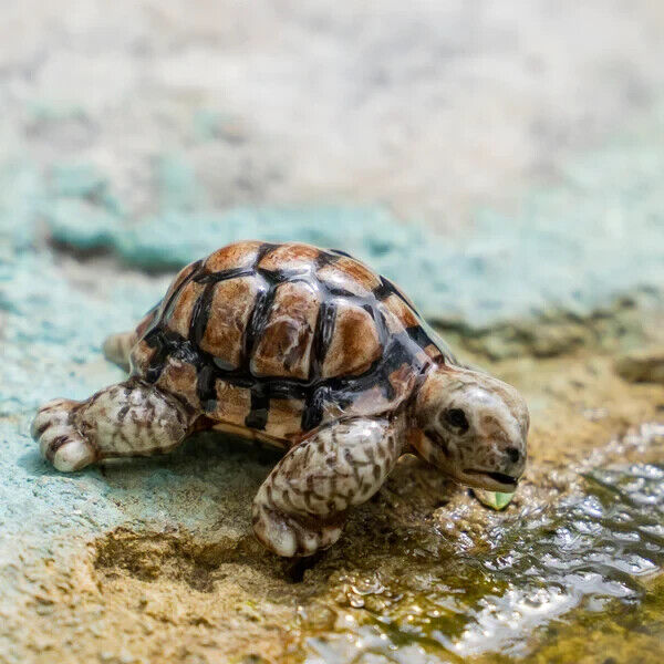 Little Critterz Miniature Collectors Desert Tortoise "Joshua" Porcelain Figurine