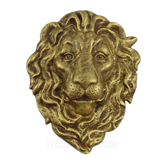 Lion Head Wall Decor Cast Iron Heavy Duty Sculpture Antique Gold 10 x 8 inch