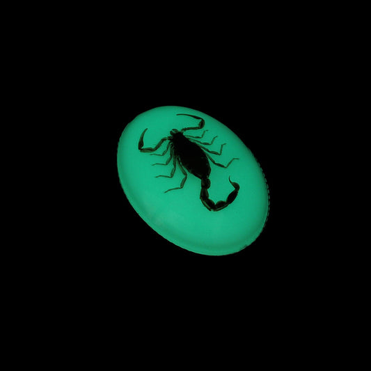 Oval Glow In The Dark Real Scorpion Alacran Bolo Tie 40 in Adjustable Black Cord