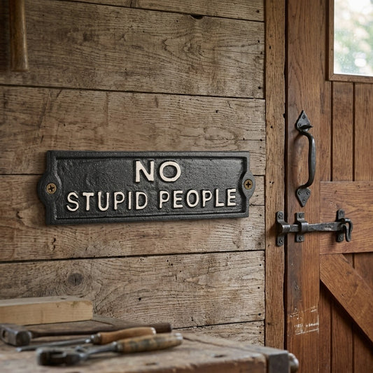 Cast Iron No Stupid People Wall Plaque Sign Heavy Duty Vintage Style Black 8.5"