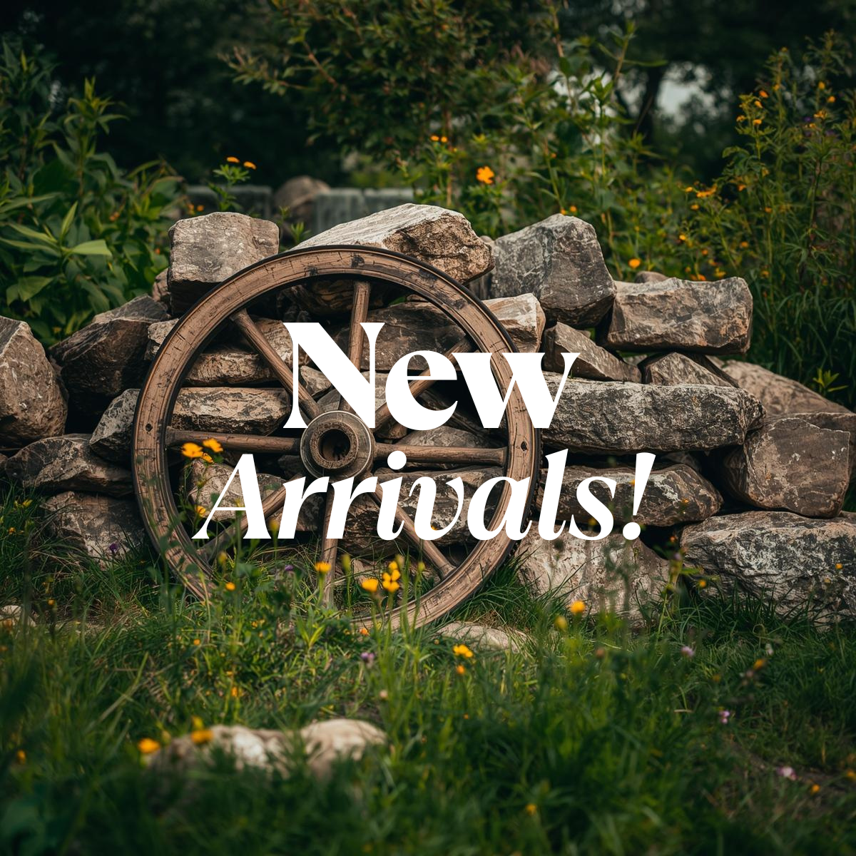 New arrivals!