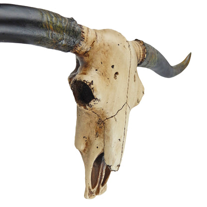 Western Faux Texas Longhorn Skull Steer Head Wall Decor Rustic Cabin 20 1/2 inch