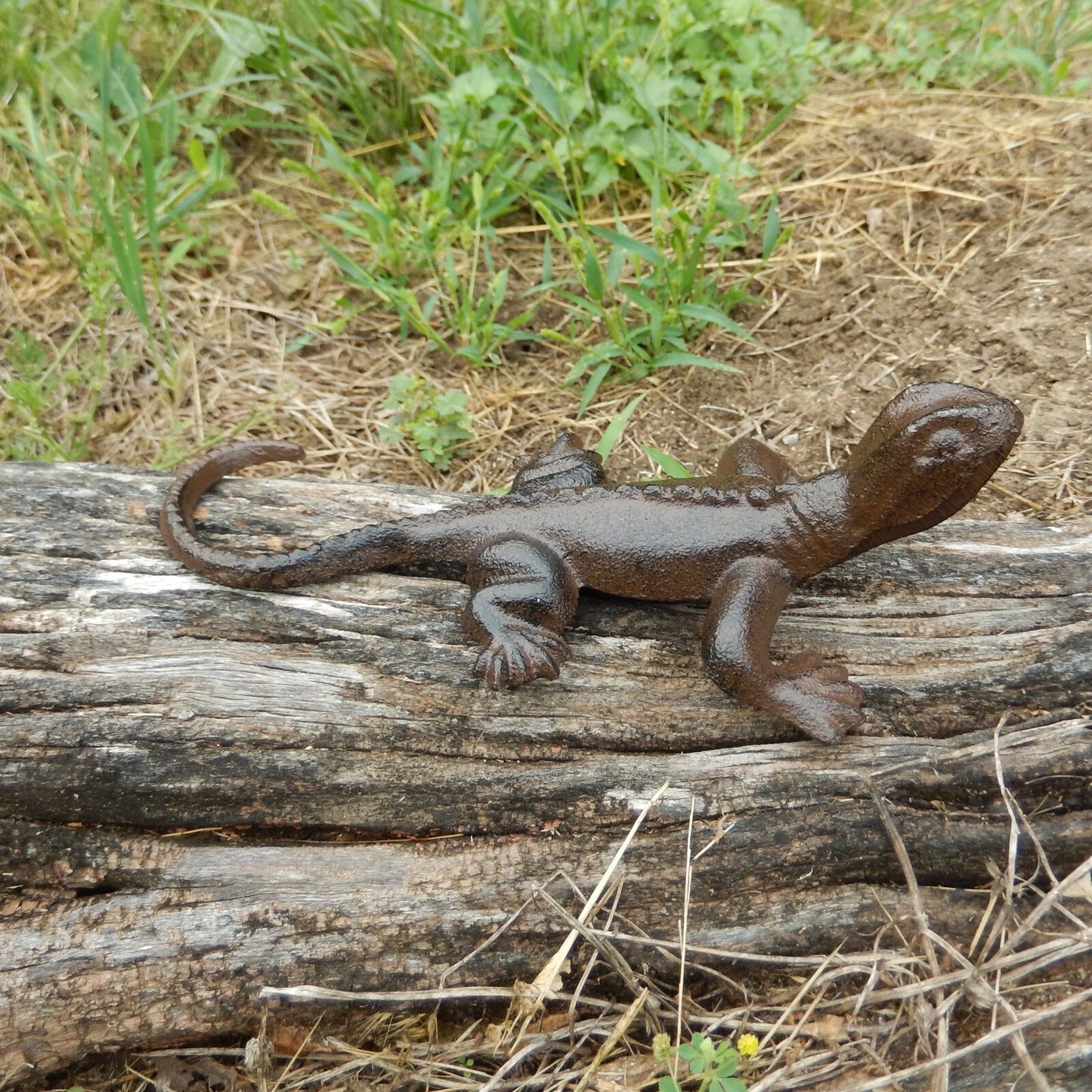 Cast Iron Lizard Gecko Figurine Shelf Sitter Pond Garden Yard Decor Paperweight