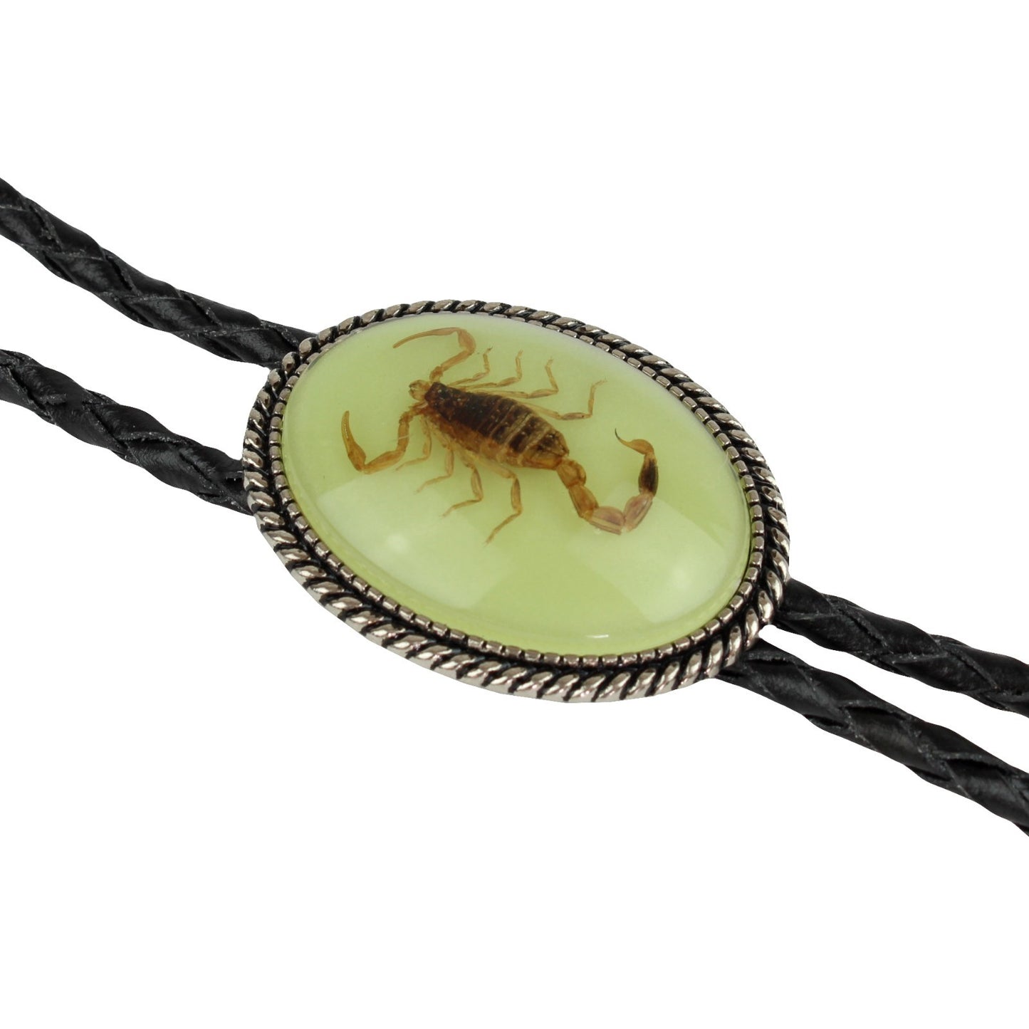 Oval Glow In The Dark Real Scorpion Alacran Bolo Tie 40 in Adjustable Black Cord