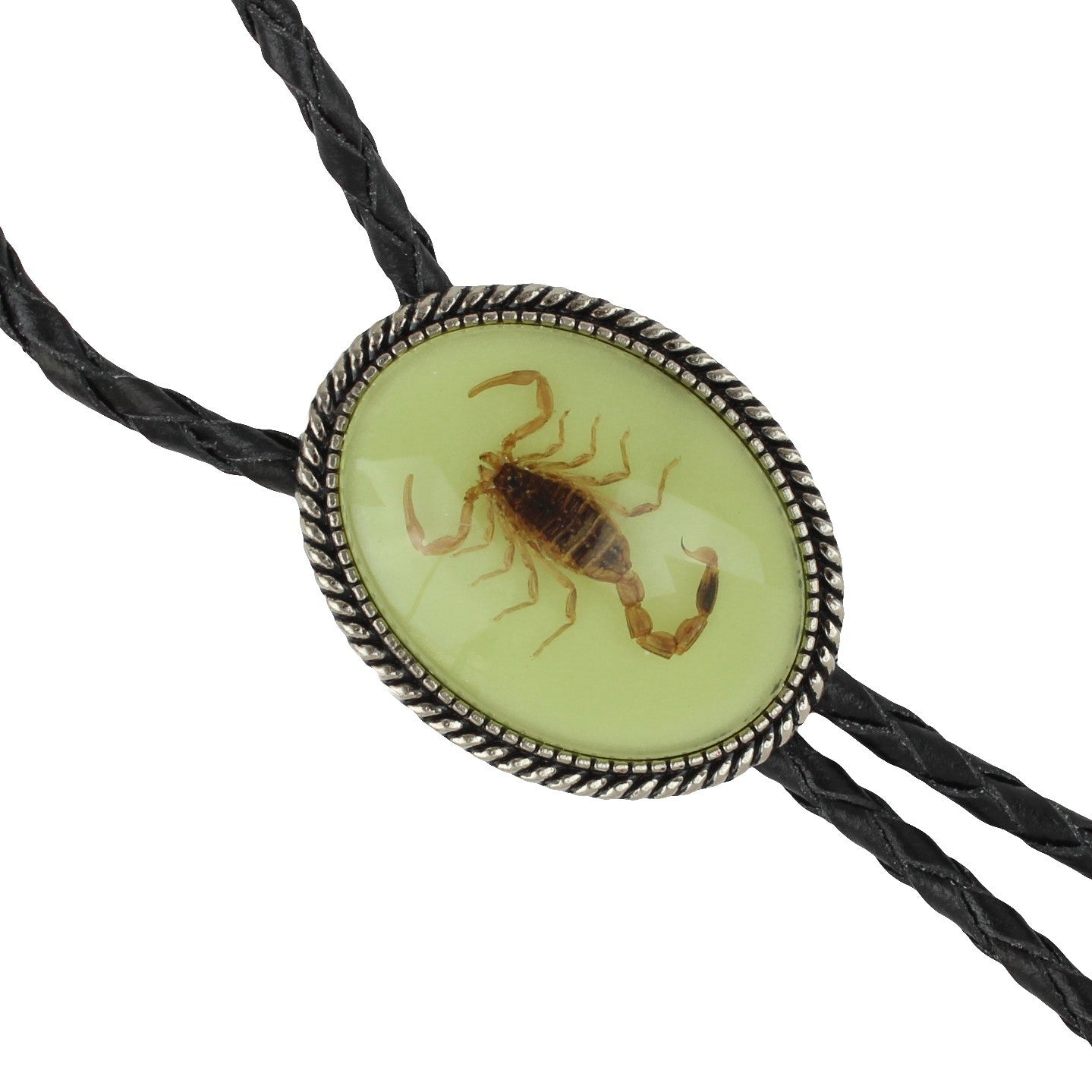 Oval Glow In The Dark Real Scorpion Alacran Bolo Tie 40 in Adjustable Black Cord