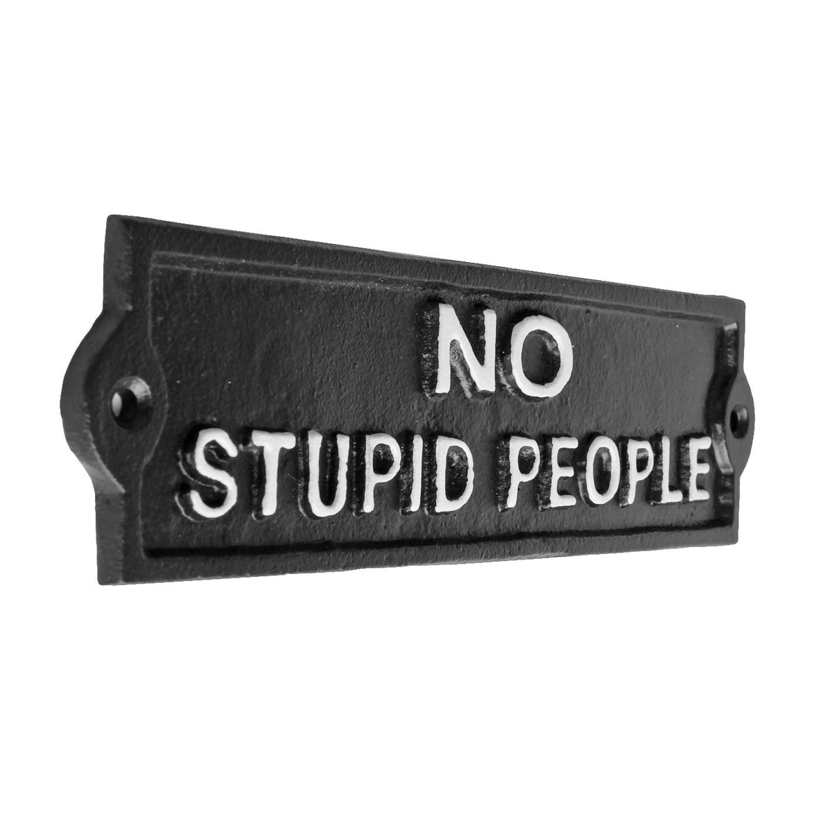 Cast Iron No Stupid People Wall Plaque Sign Heavy Duty Vintage Style Black 8.5"