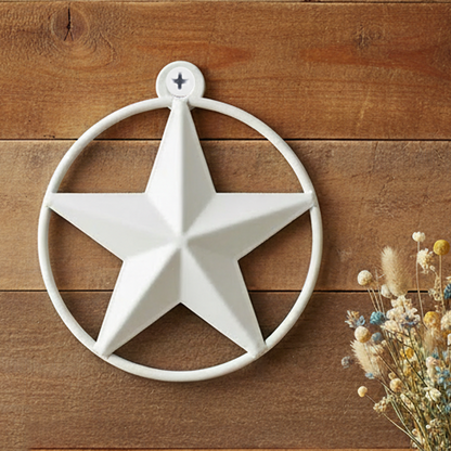 White Tiny Small Metal Barn Star with Smooth Ring 3 inch Matte Finish