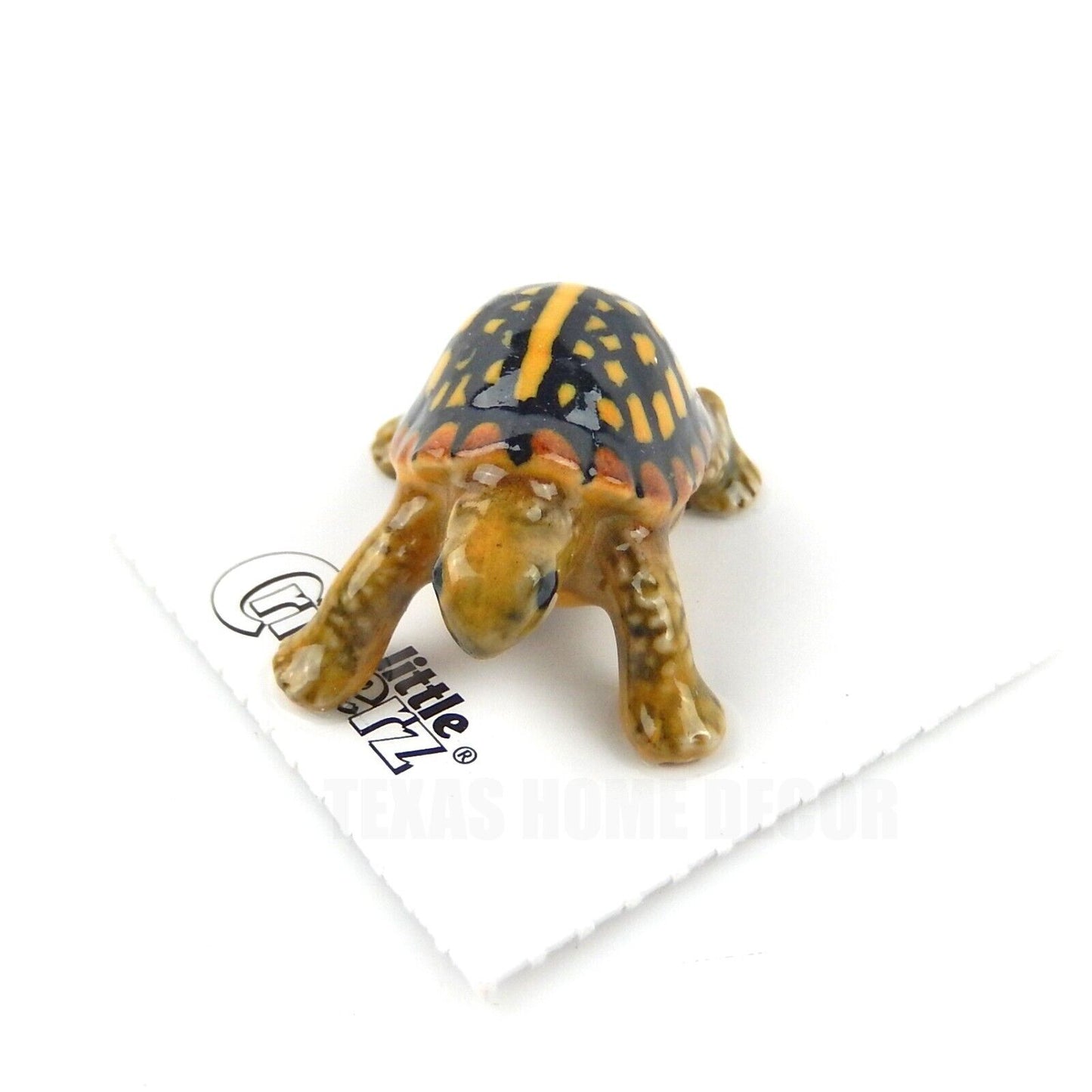 Little Critterz Miniature Collectors Box Turtle "Dom" Porcelain Figurine