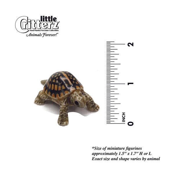 Little Critterz Miniature Collectors Box Turtle "Dom" Porcelain Figurine