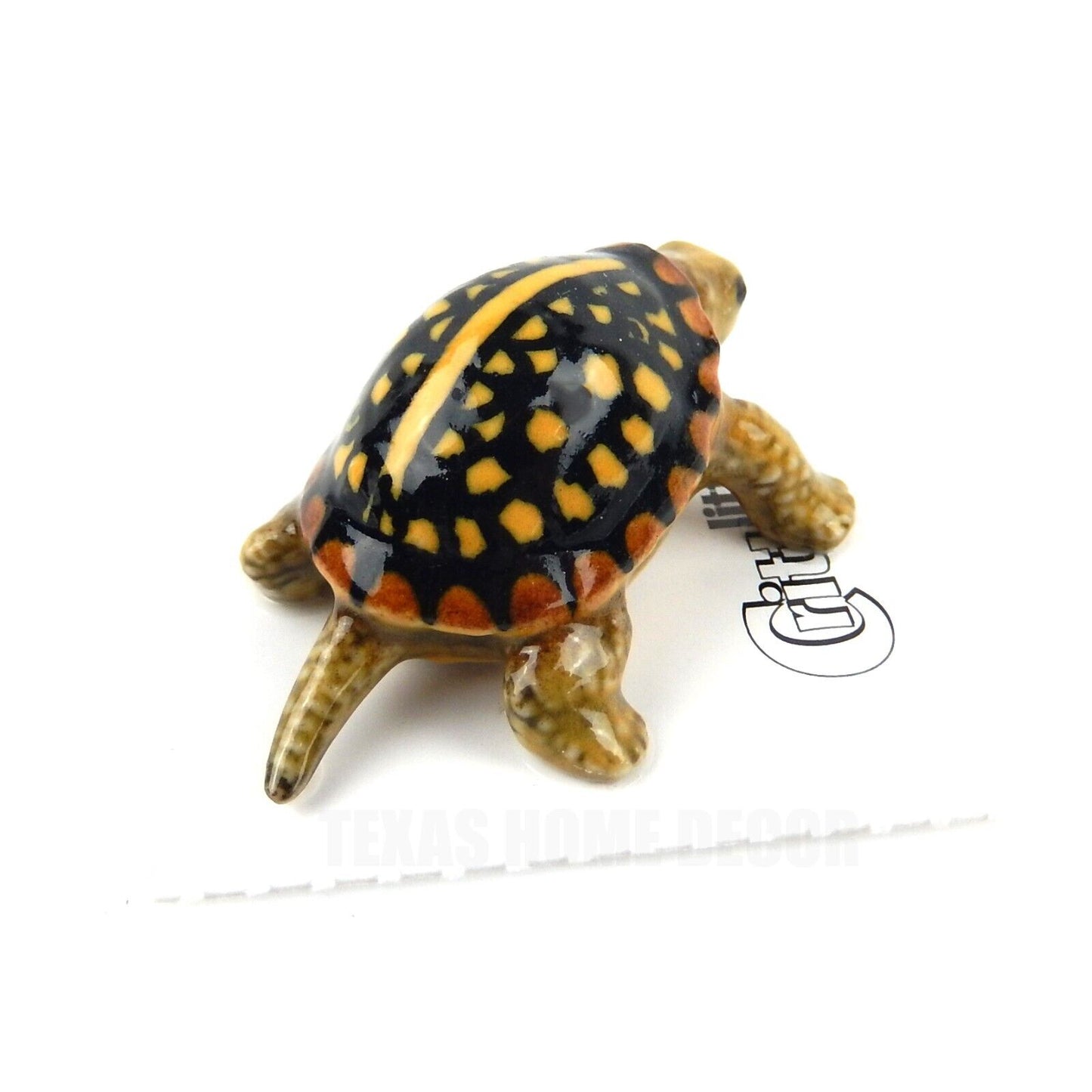 Little Critterz Miniature Collectors Box Turtle "Dom" Porcelain Figurine