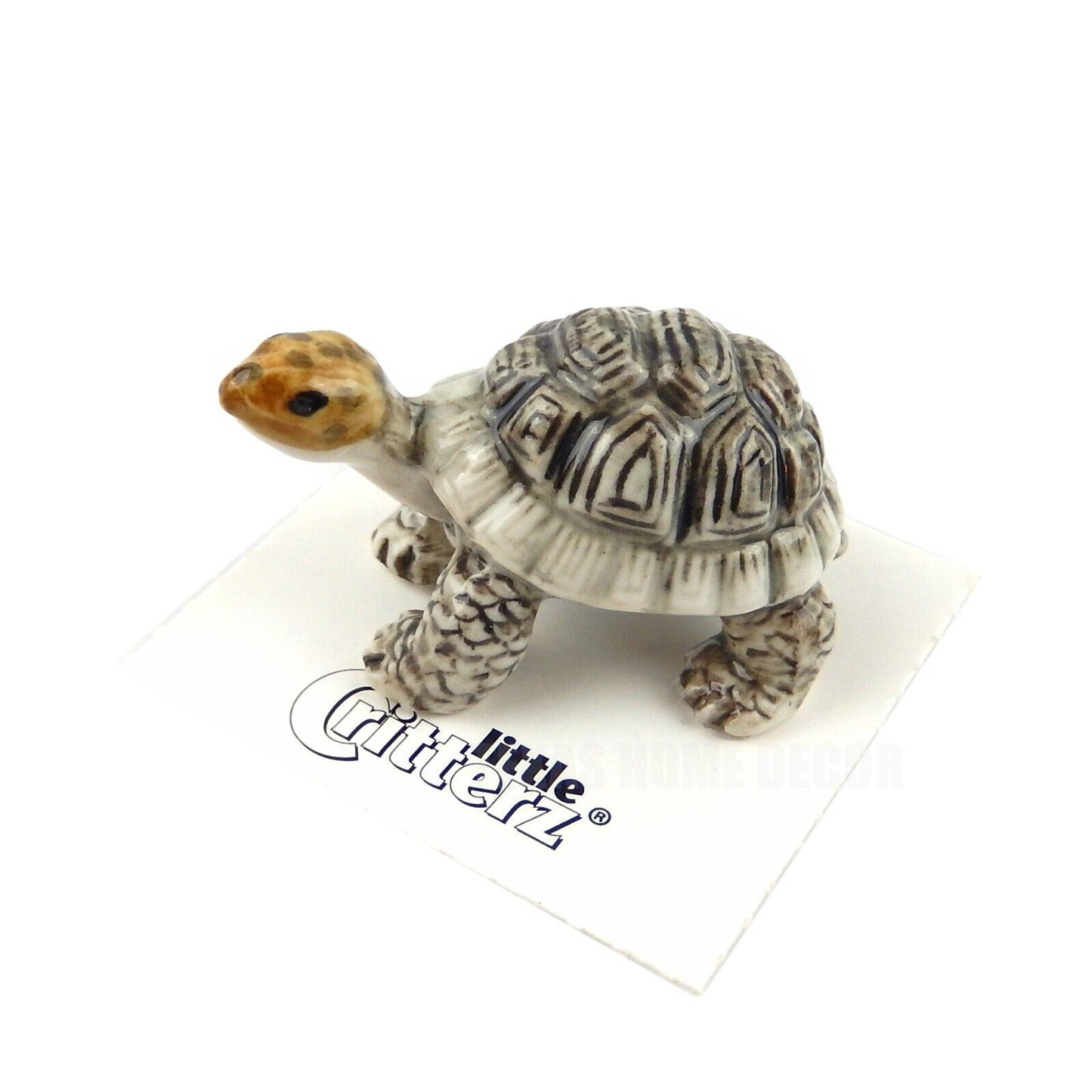 Little Critterz Miniature Collectors Galapagos Tortoise Porcelain Figurine