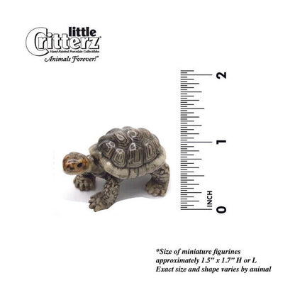 Little Critterz Miniature Collectors Galapagos Tortoise Porcelain Figurine