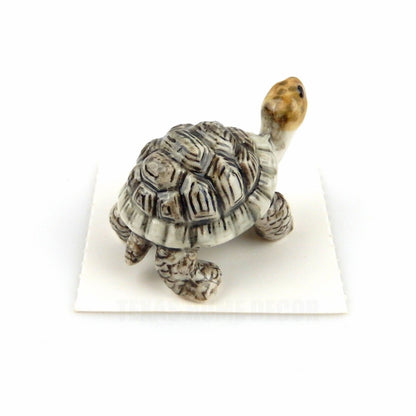 Little Critterz Miniature Collectors Galapagos Tortoise Porcelain Figurine