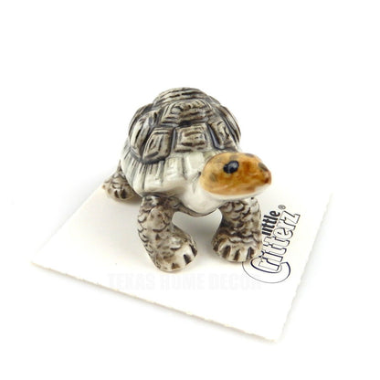 Little Critterz Miniature Collectors Galapagos Tortoise Porcelain Figurine