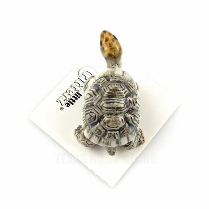 Little Critterz Miniature Collectors Galapagos Tortoise Porcelain Figurine