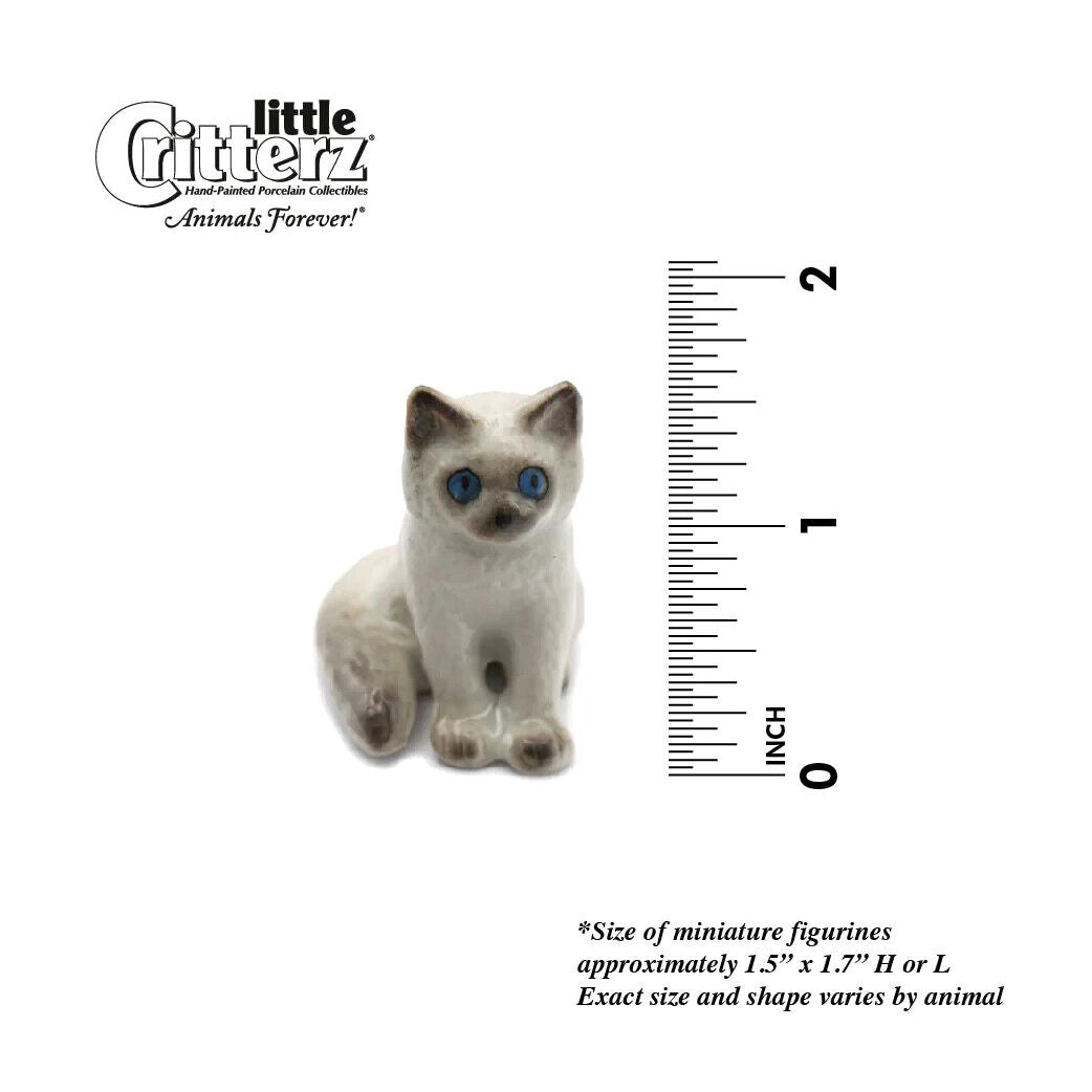 Little Critterz Miniature Collectors Kitten Ragdoll Cat Porcelain Figurine