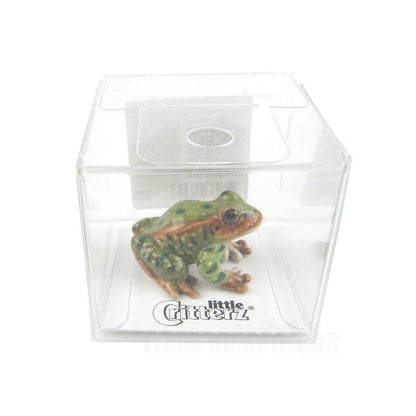 Little Critterz Miniature Collectors Northern Leopard Frog Porcelain Figurine